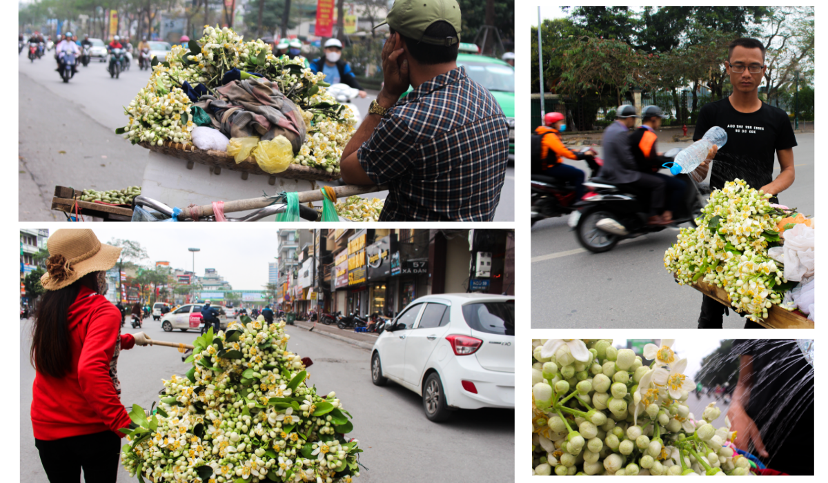 Nao lòng những gánh hoa bưởi mang hồn quê ra Hà Nội